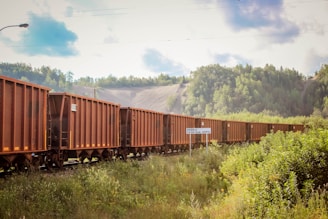 Rail freight cars carrying bulk rice through the scenic landscapes of Pakistan.