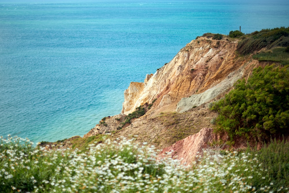 sea beside cliff