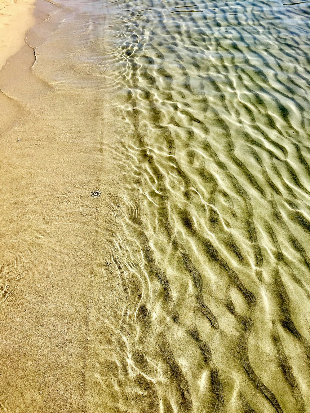 昼間の茶色い砂浜の海岸