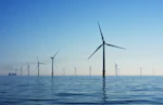 Environmental Impact