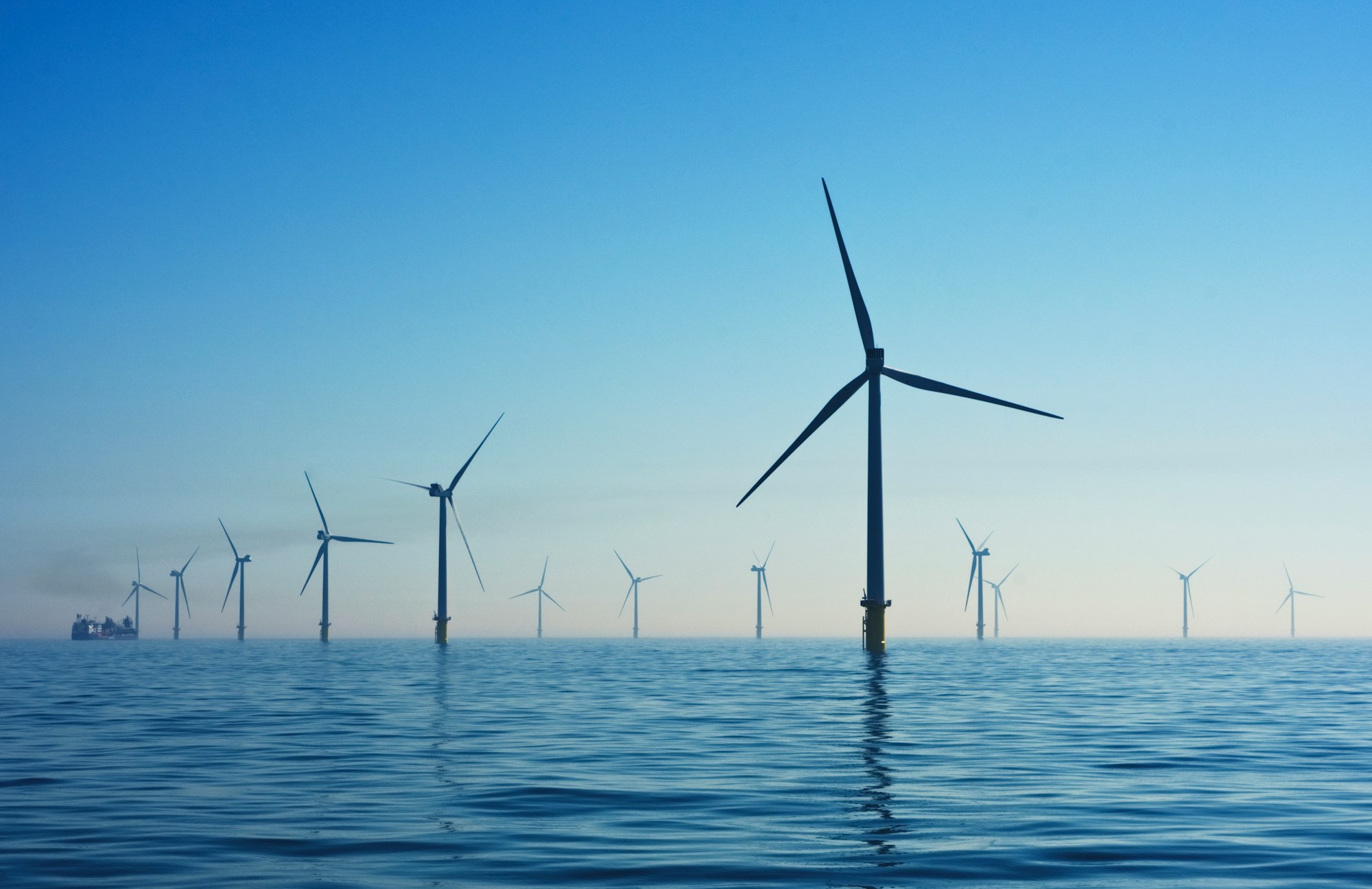 Floating offshore wind turbines: challenges for marine wildlife