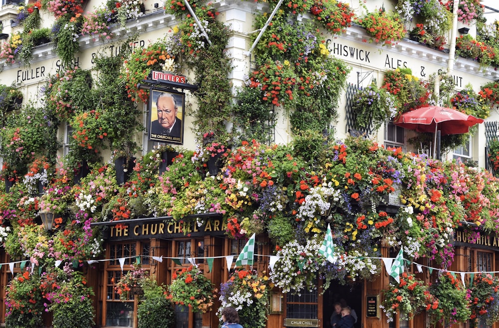 assorted flowers on building