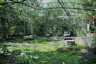 An overgrown amusement park ride area with rusted metal framework overhead and several abandoned bumper cars covered in moss. The environment is surrounded by dense trees, and the atmosphere suggests long-term neglect and decay.