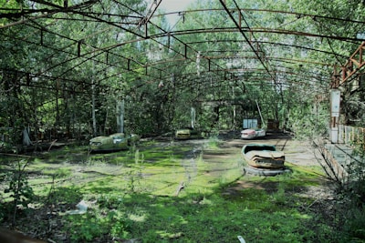 An overgrown amusement park ride area with rusted metal framework overhead and several abandoned bumper cars covered in moss. The environment is surrounded by dense trees, and the atmosphere suggests long-term neglect and decay.