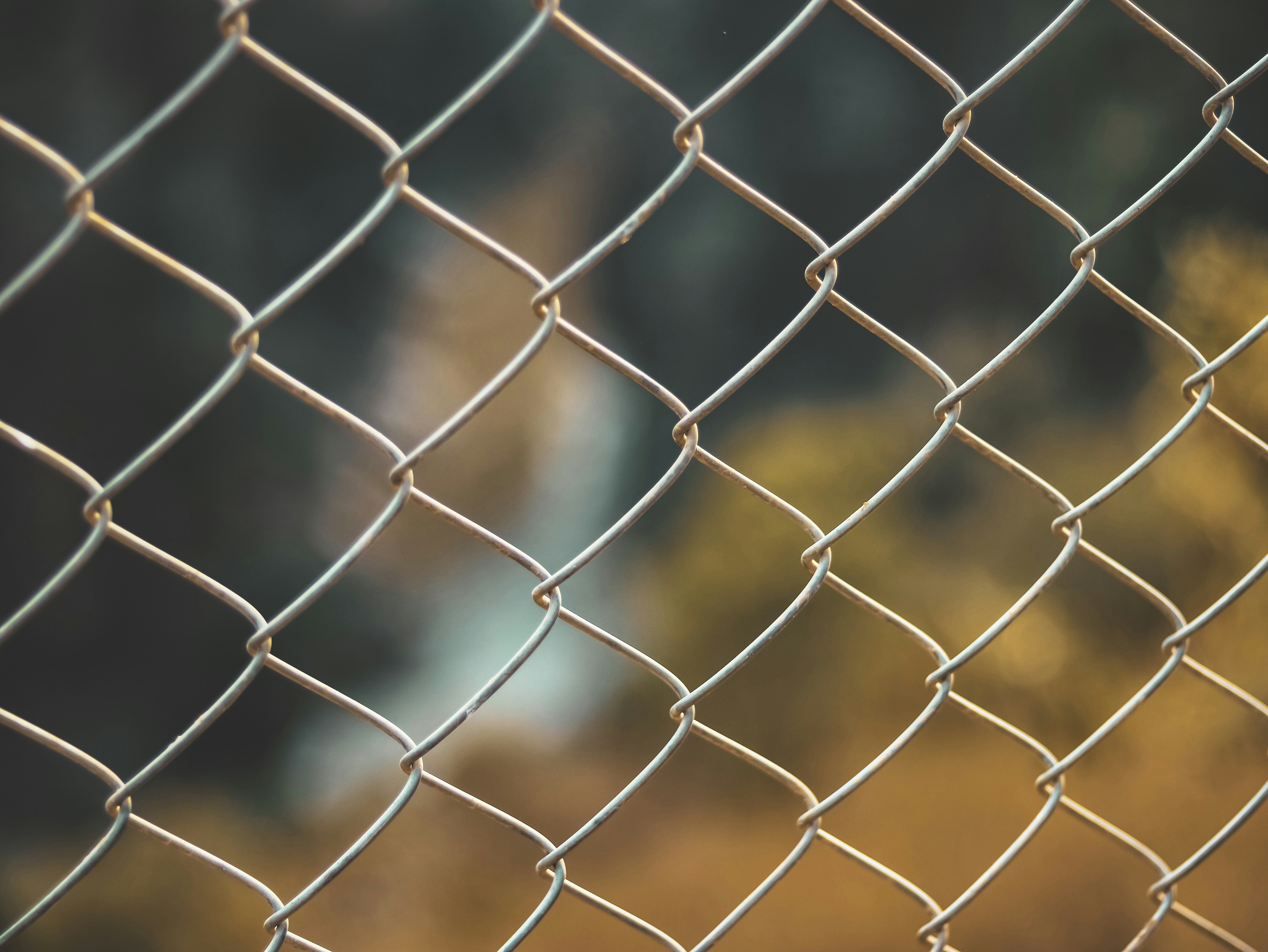 Photo by abijeason_photography