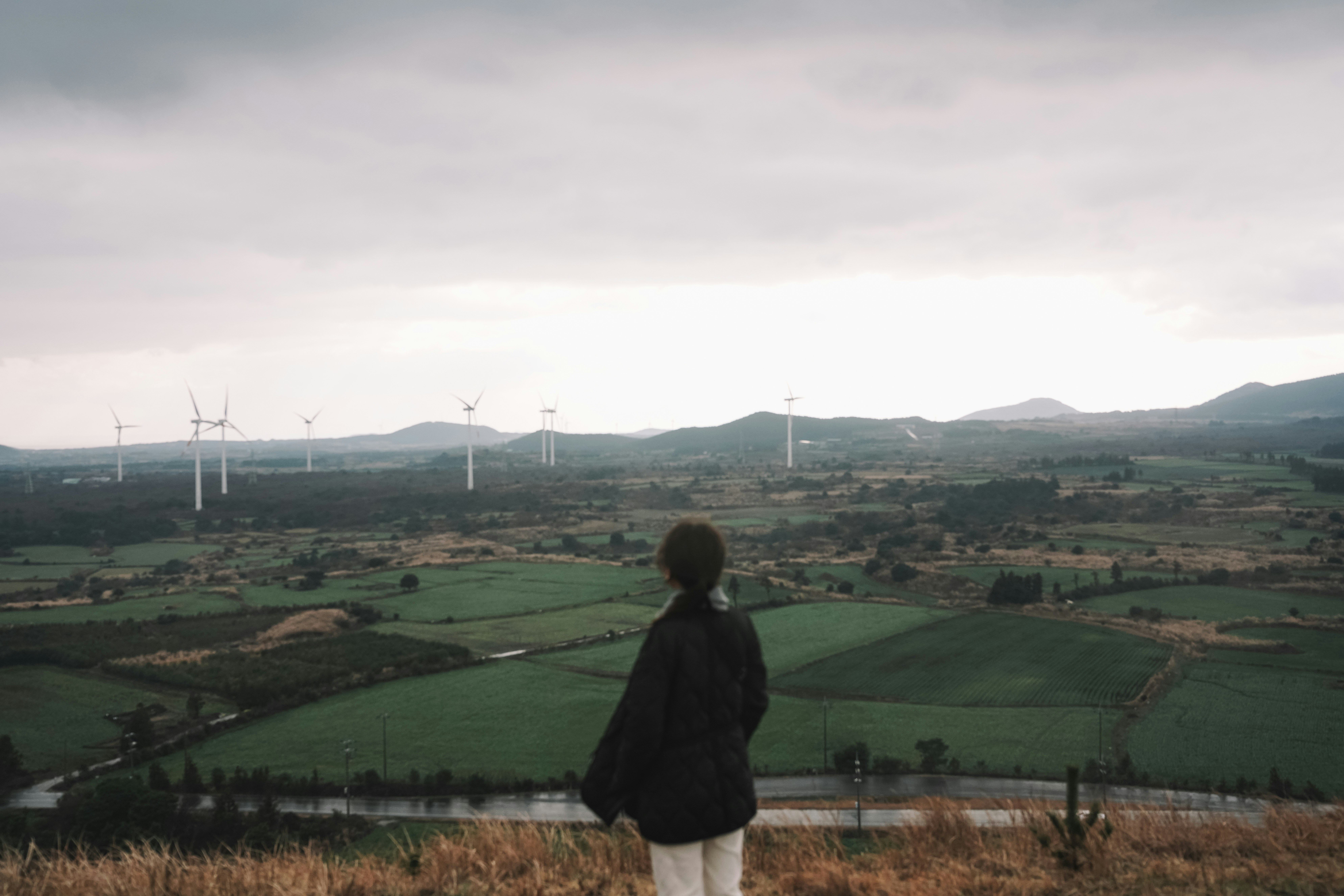 Jeju Island’s Startups Rise to Address Economic Challenges and Solve Social Problems. post image