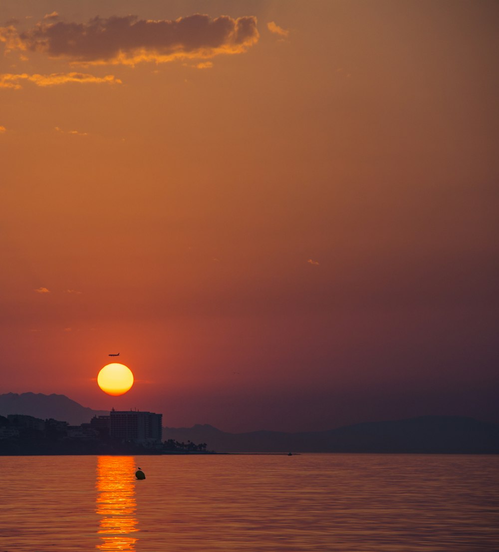 sea during golden hour