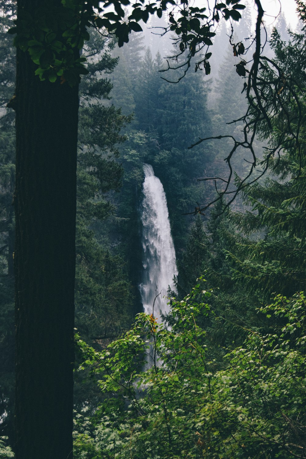 waterfall during daytime