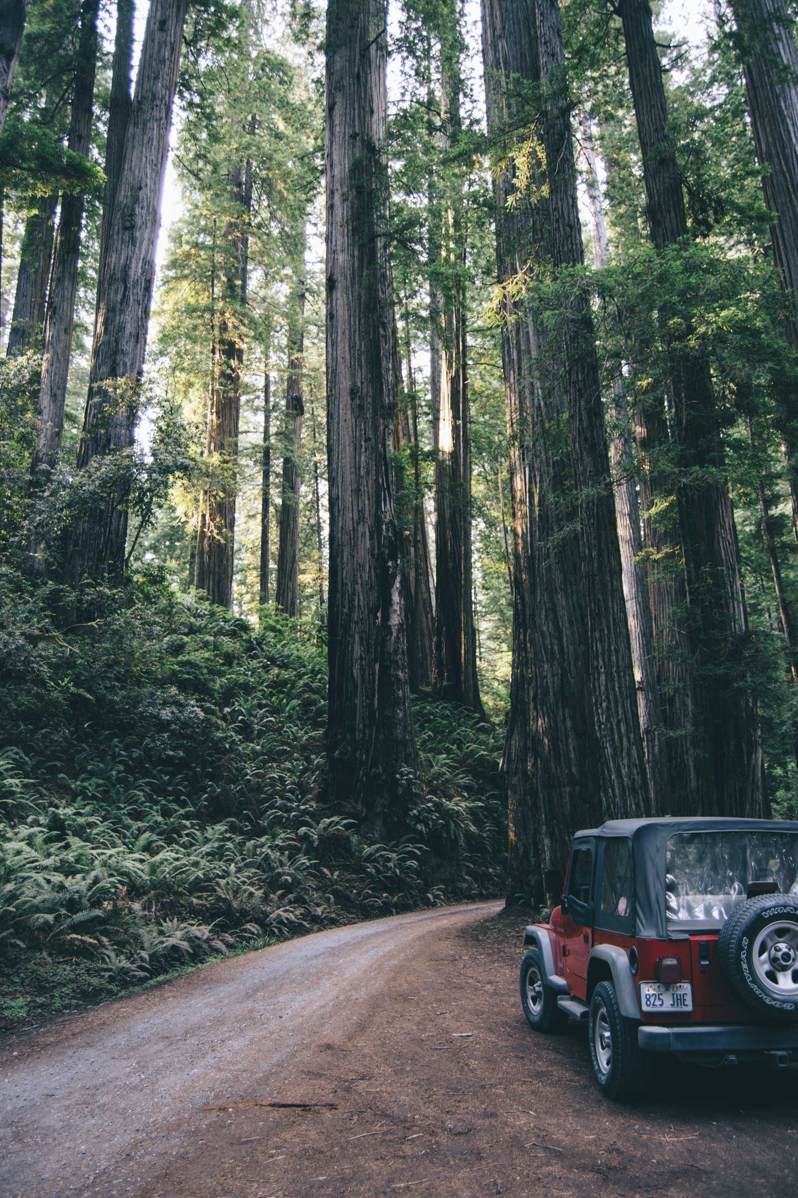 Nikon AF-S DX Nikkor 18-55mm F3.5-5.6G II sample photo. Red jeep wrangler on photography