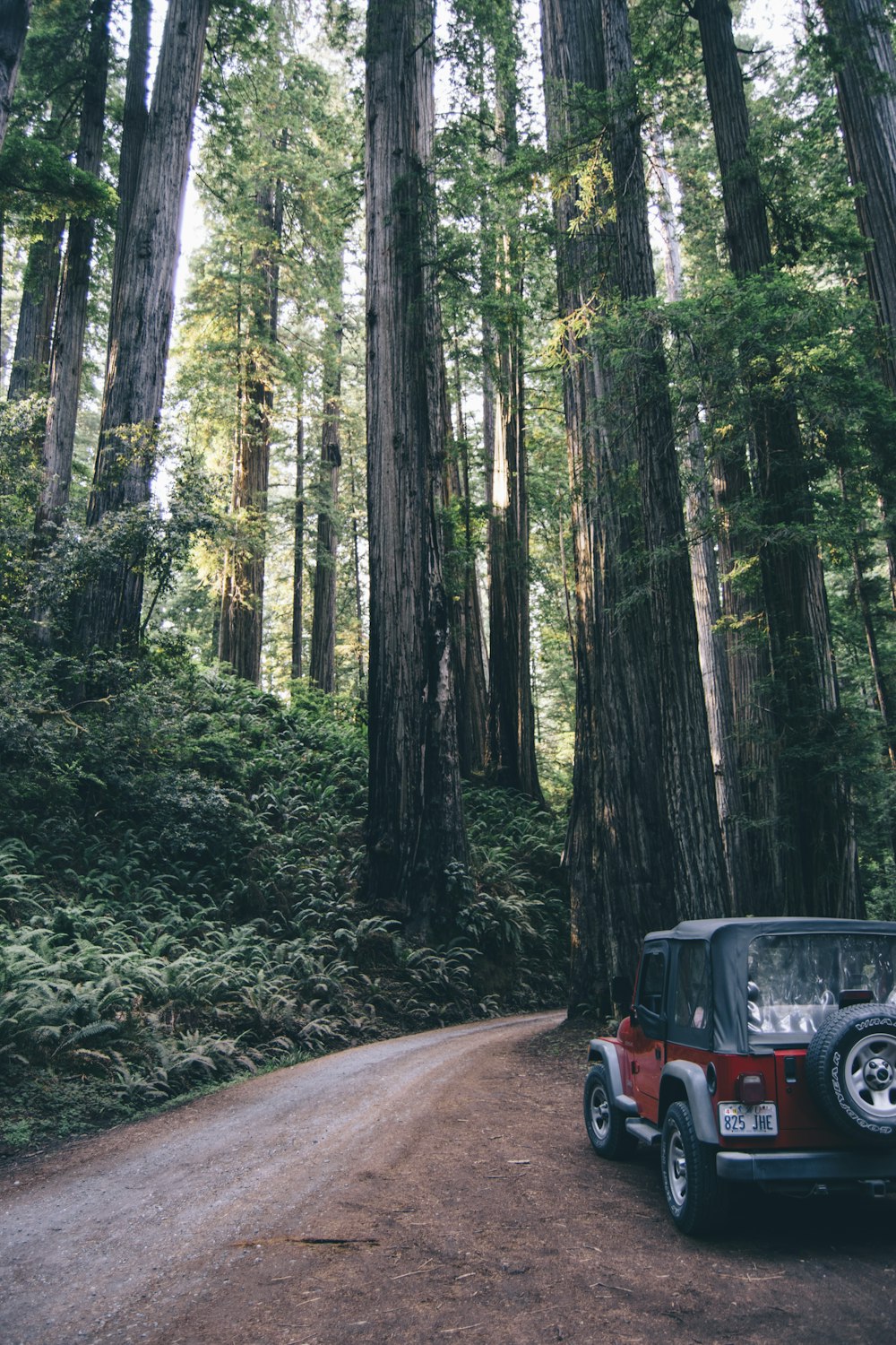 red Jeep Wrangler on park beside road in middle of woods