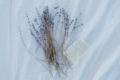 A soft lavender sprig gently resting beside a handwritten note on minimalist paper.