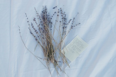 Fresh herbs and flowers arranged artfully next to a handwritten note about tea benefits