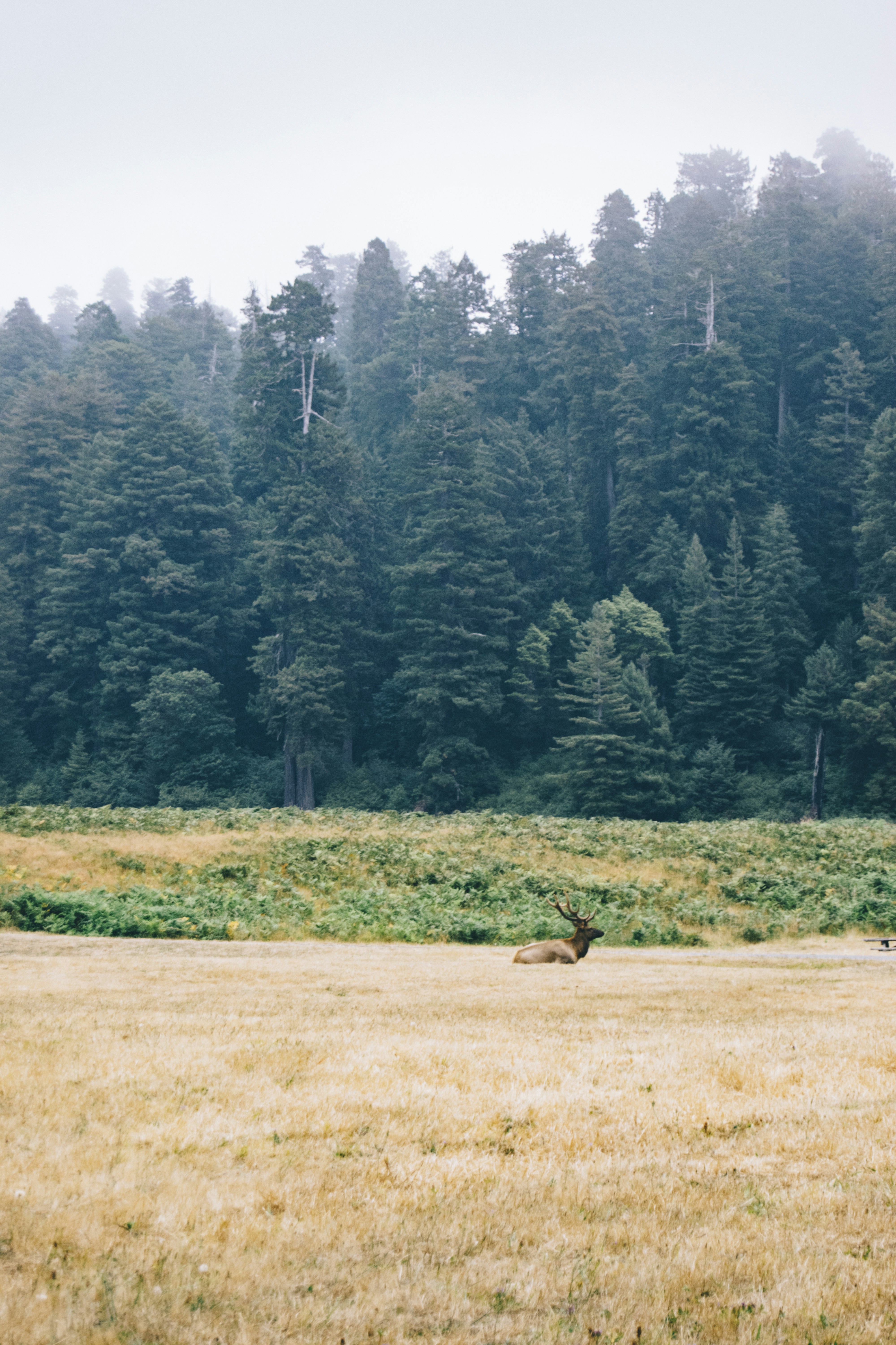 Photo by seitamaaphotography