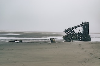 A rugged survivor scouting a foggy shoreline with abandoned buildings in the distance.