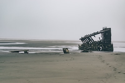 A rugged survivor scouting a foggy shoreline with abandoned buildings in the distance.