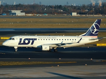 A scenic highway view during a taxi transfer between Warsaw and Poland countryside.