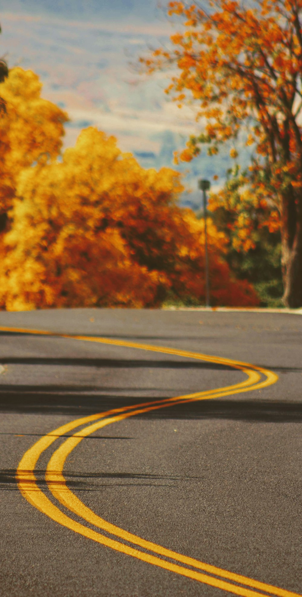 selective focus photography of asphalt road