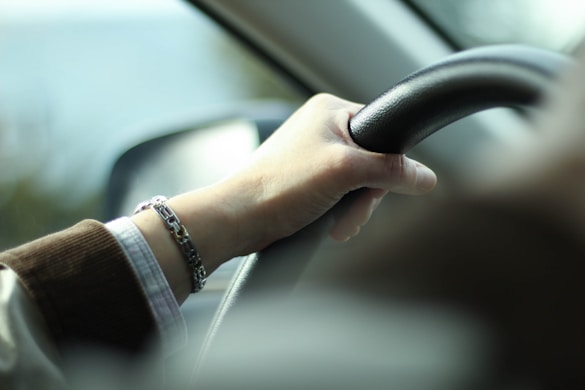 person holding steering wheel