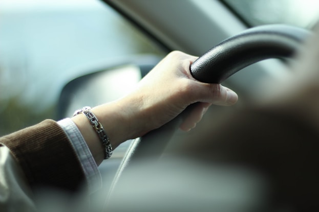 person holding steering wheel