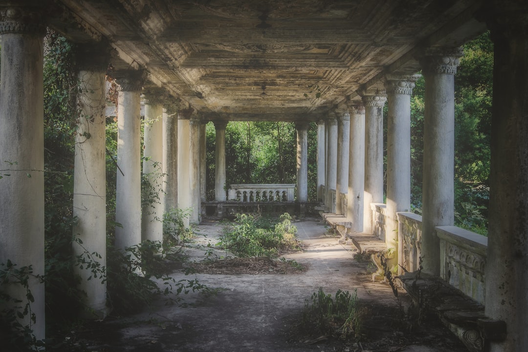  abandoned pillared building surrounded with trees courtyard forecourt