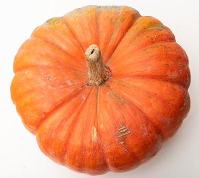 orange squash pumpkin zoom background