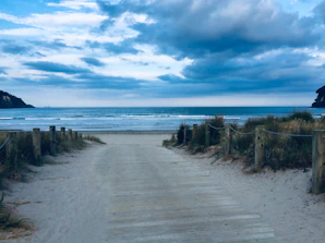Peaceful seaside path surrounded by greenery and soft sand.
