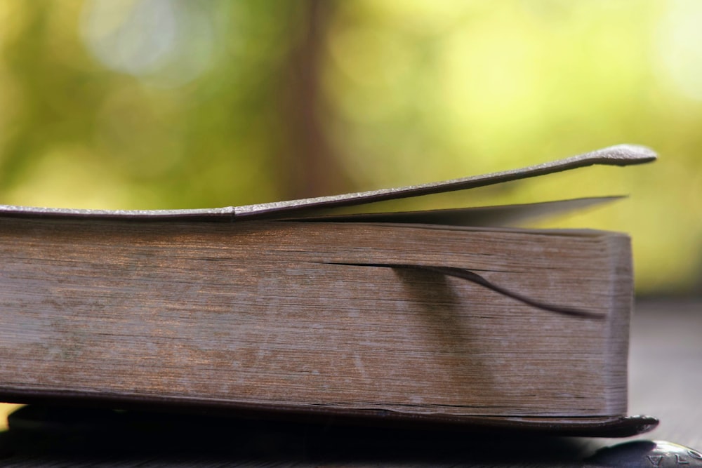 selective focus photograhy of brown book