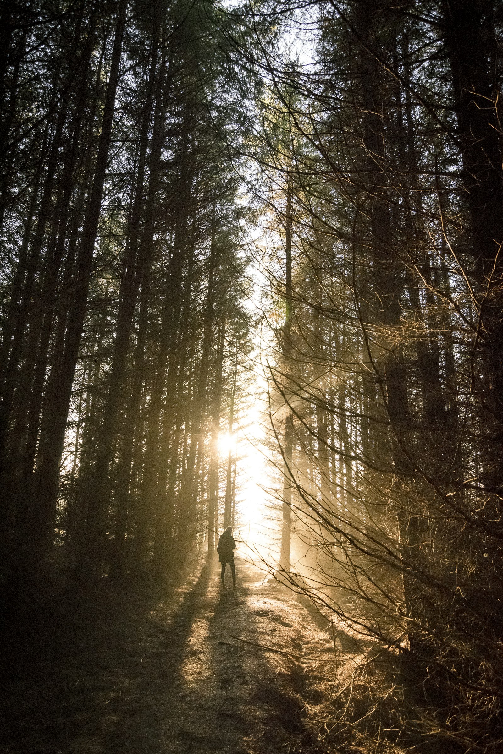 Tokina AT-X Pro 11-16mm F2.8 DX II sample photo. Person standing in woods photography