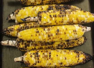 grilled corns