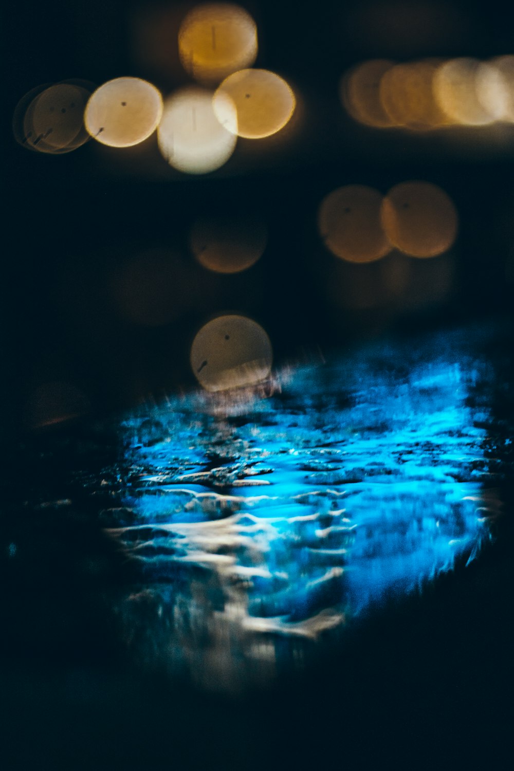 selective focus photography of body of water