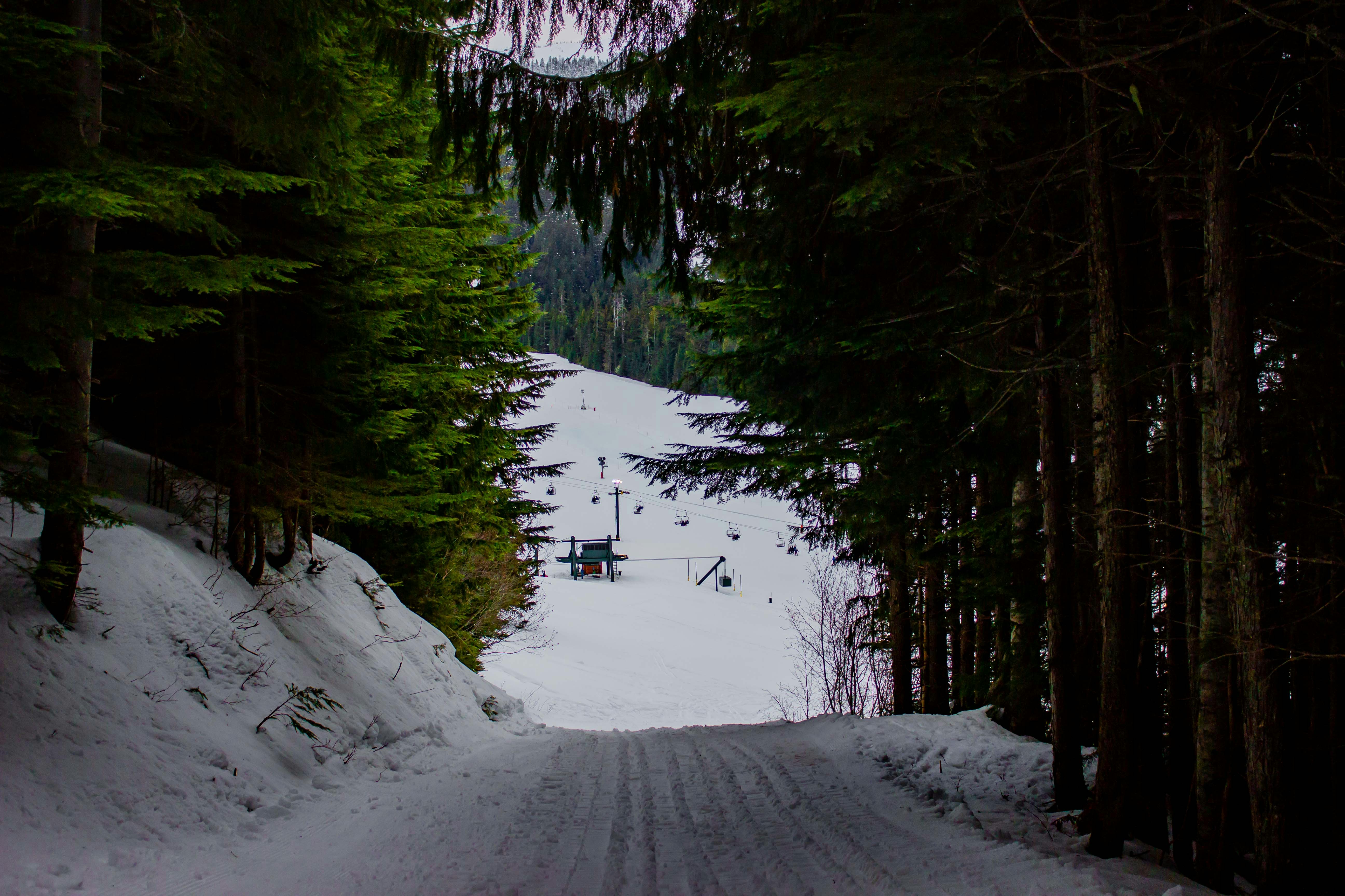 Photo by acharyyaayan