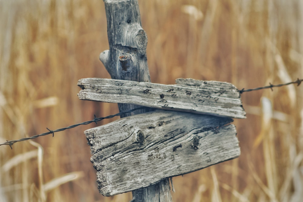 selective focus photography of wooden road signage