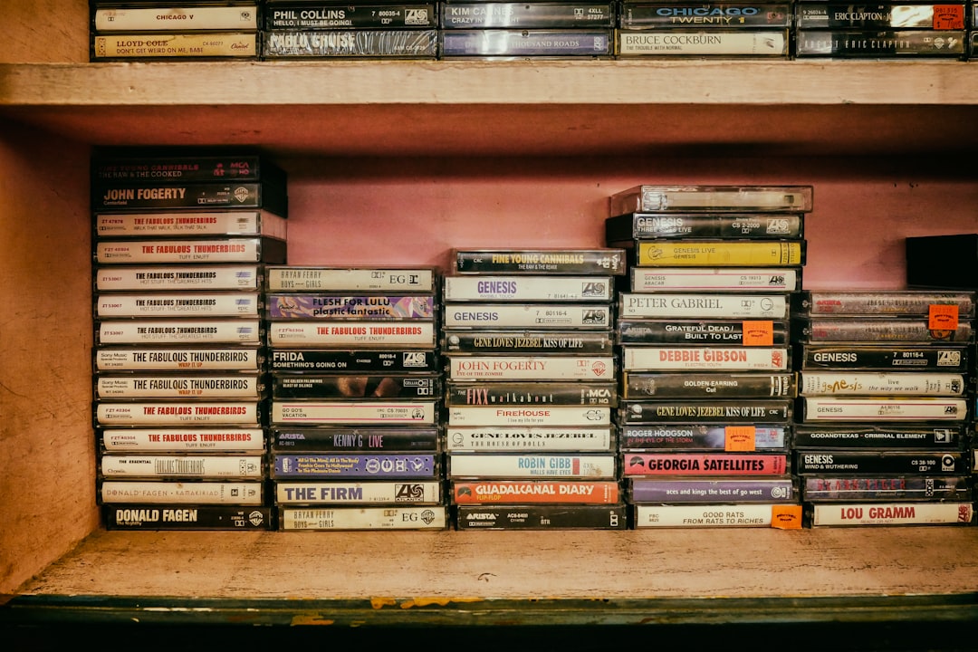 assorted cassette case lot on shelves