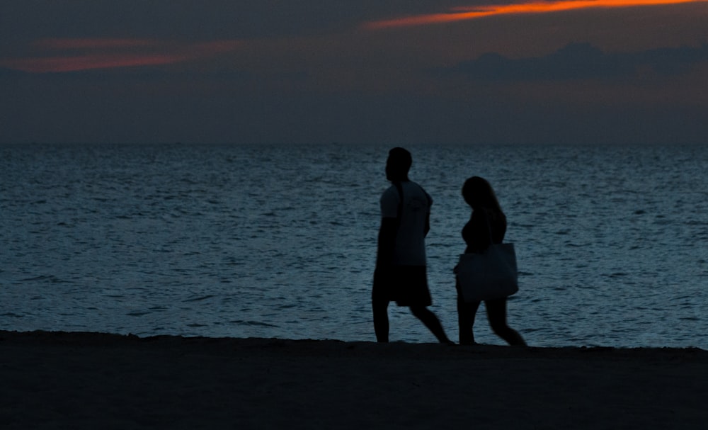 silhouette of two person walking beside beach
