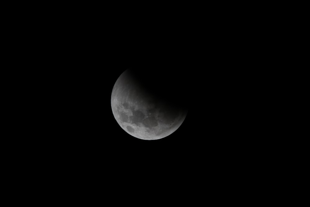 low angle photography of moon