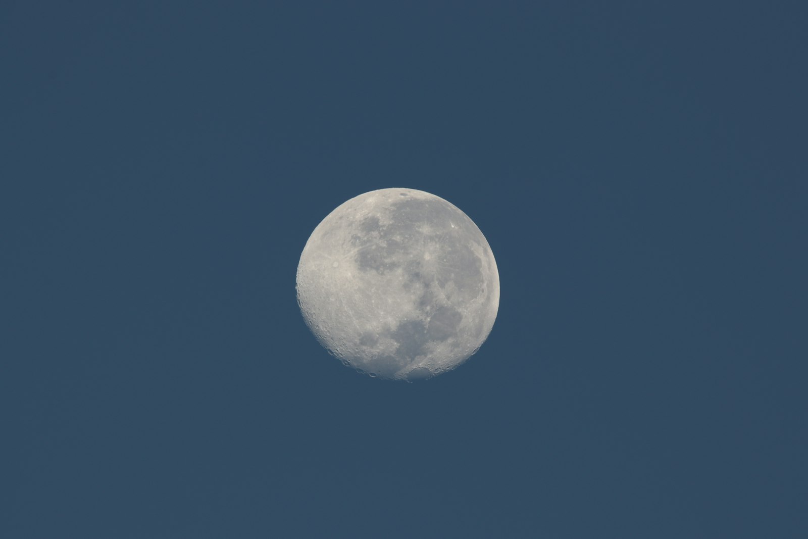 Canon EOS 80D + Sigma 150-600mm F5-6.3 DG OS HSM | C sample photo. Quarter moon photography
