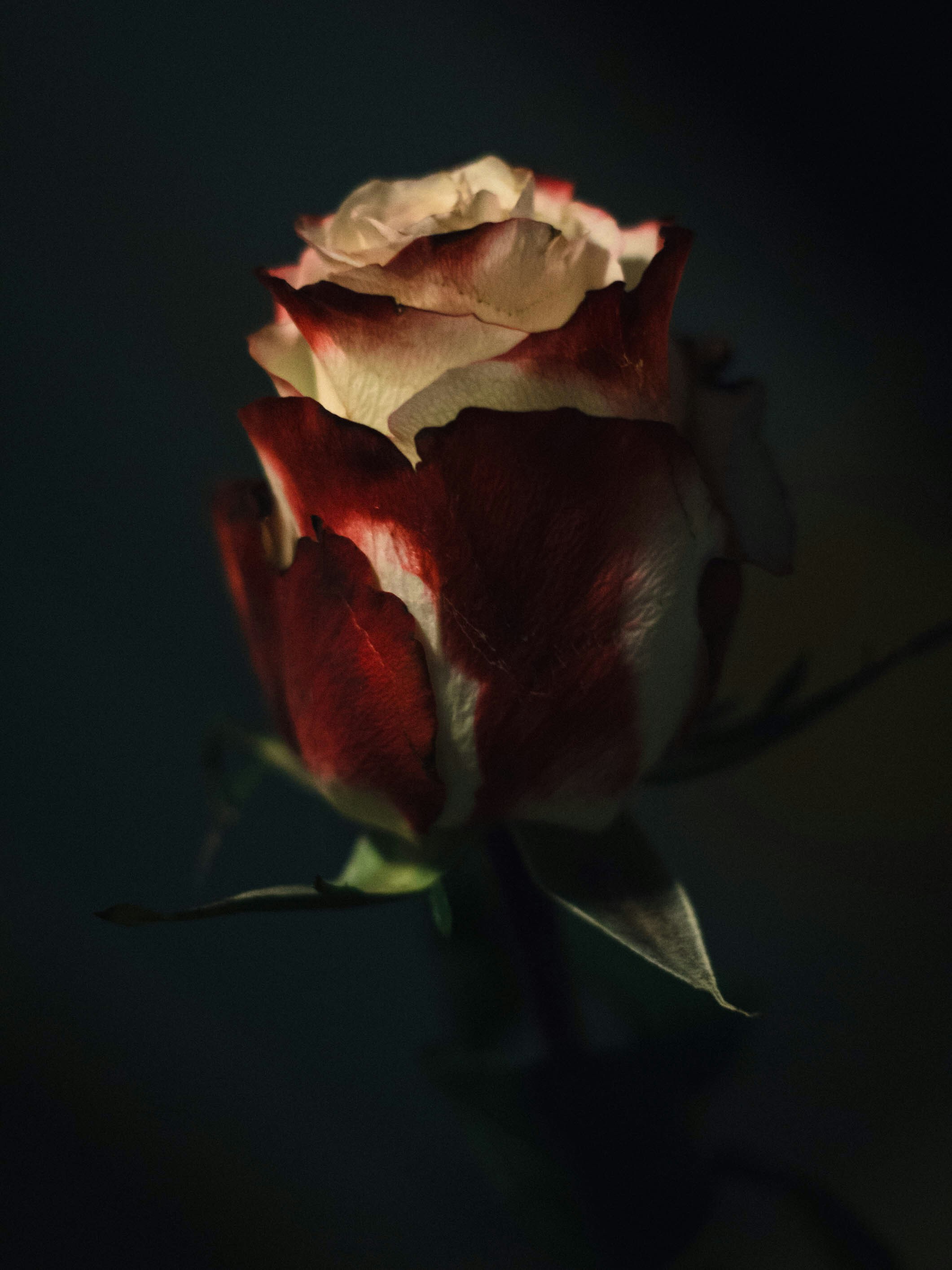 Photo by rachelcoyne