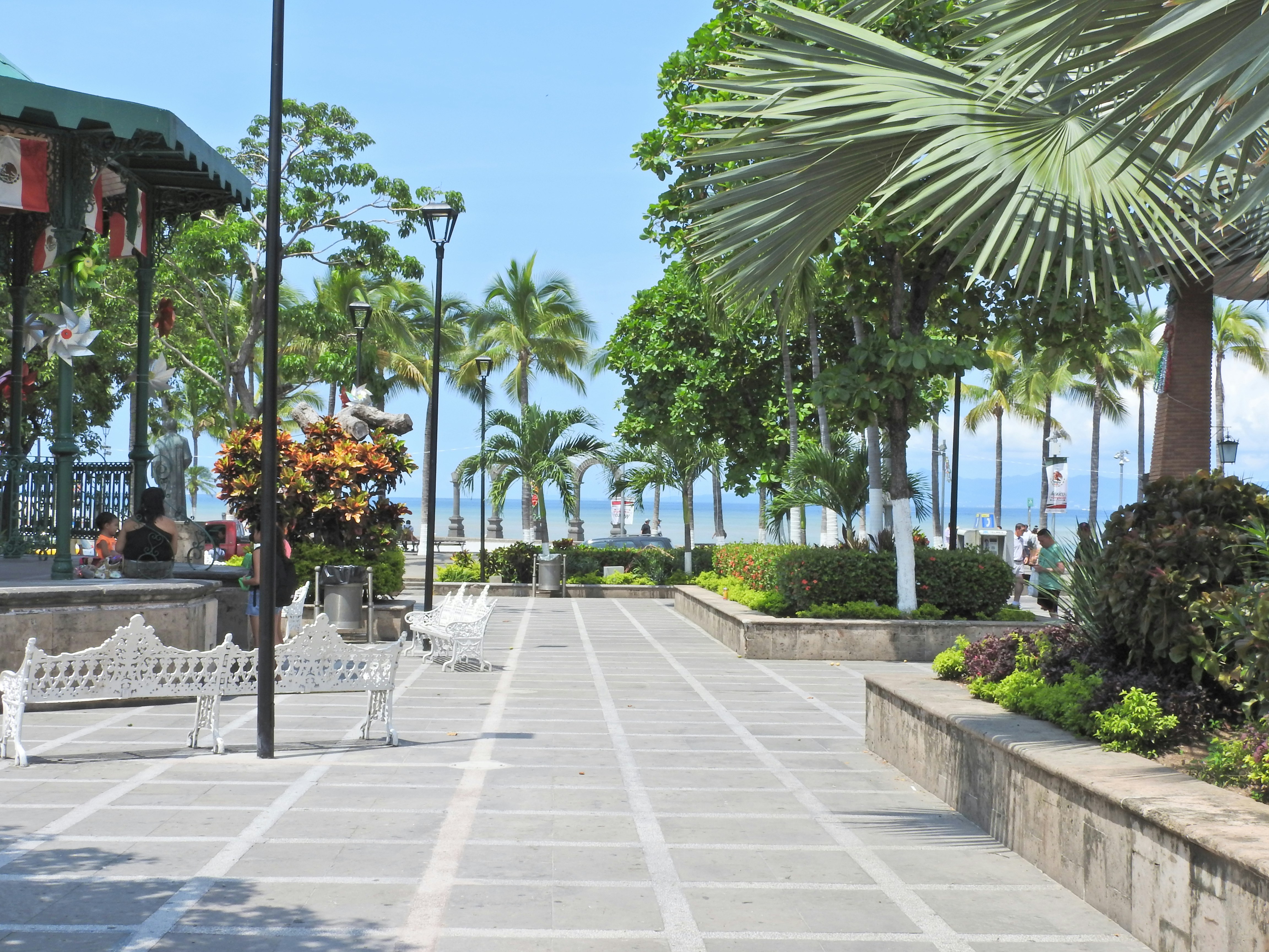 Best 500 Garden Photos Hd Download Free Photos On Unsplash