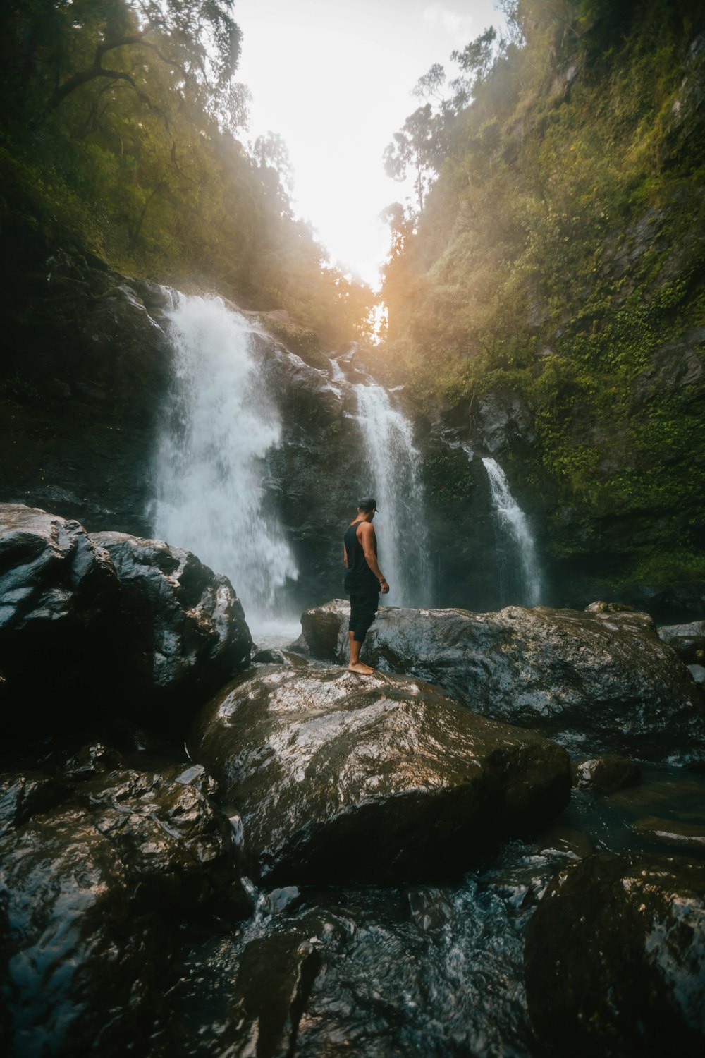 person standing on stone near waterfalls in middle of woods during daytime