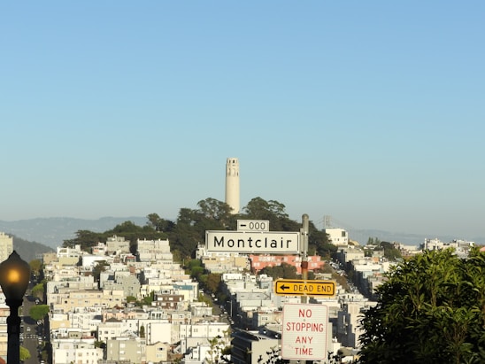 A cityscape with a prominent white tower on a hill surrounded by trees. Residential buildings line the hillside, leading down to urban streets. A street sign labeled 'Montclair' is in the foreground along with a yellow 'dead end' sign and a 'no stopping any time' sign.