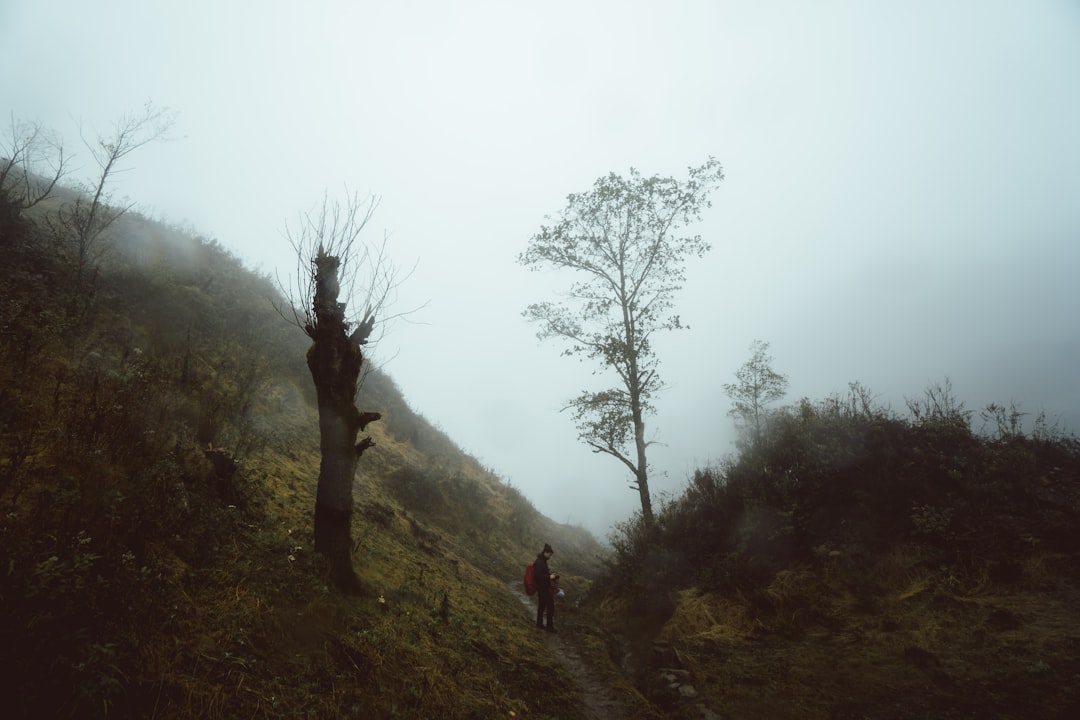 people walking on trail