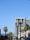 A cityscape featuring a tall modern building with the Adobe logo on top. The foreground has several black streetlights and palm trees lining the street. The clear blue sky serves as a backdrop.