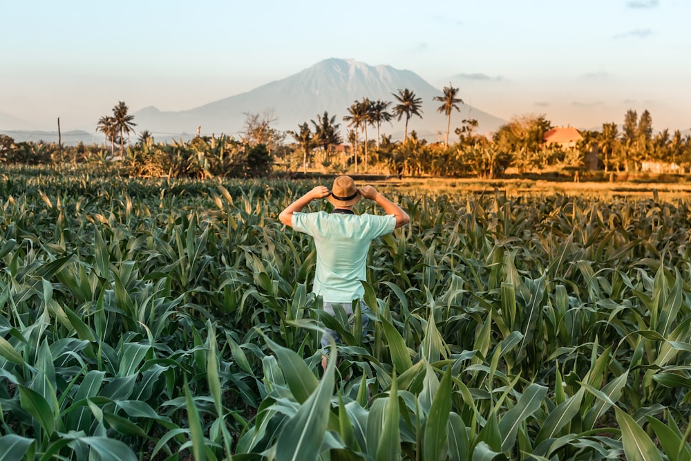 man standing in garden