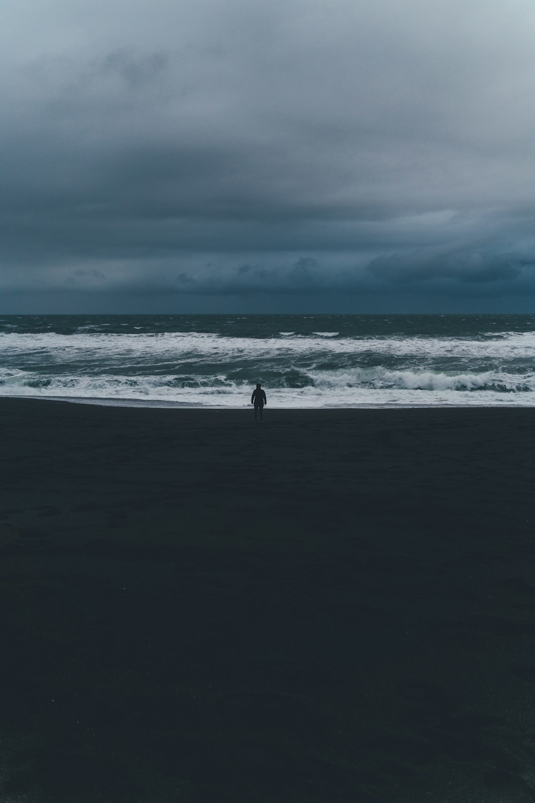 person standing on shore under cloudy sky