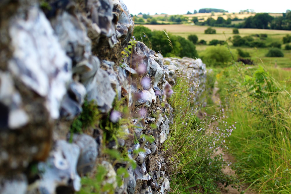 a stone wall in the middle of a grassy field