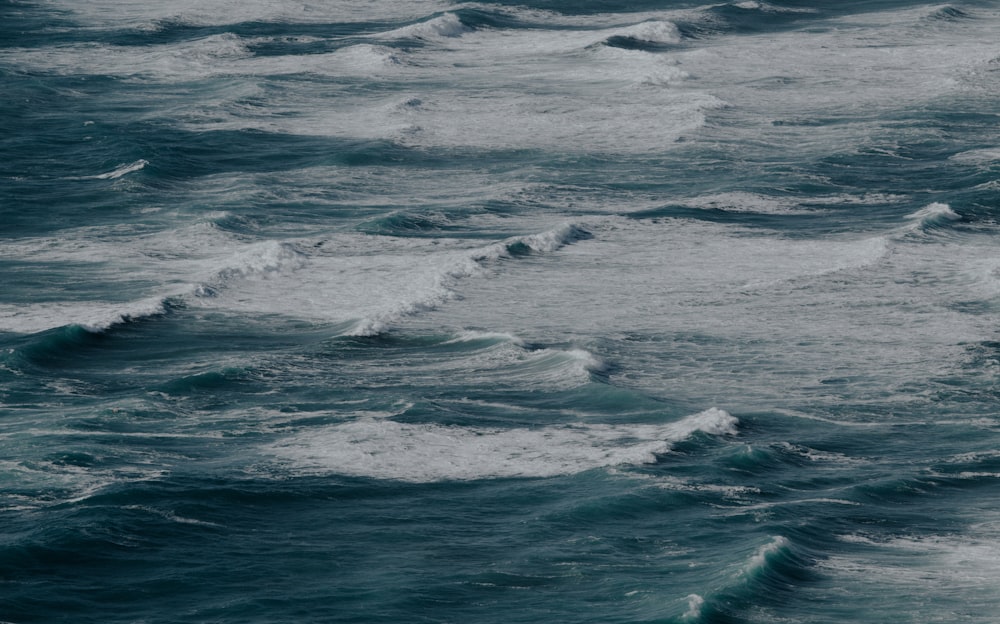 body of water during daytime