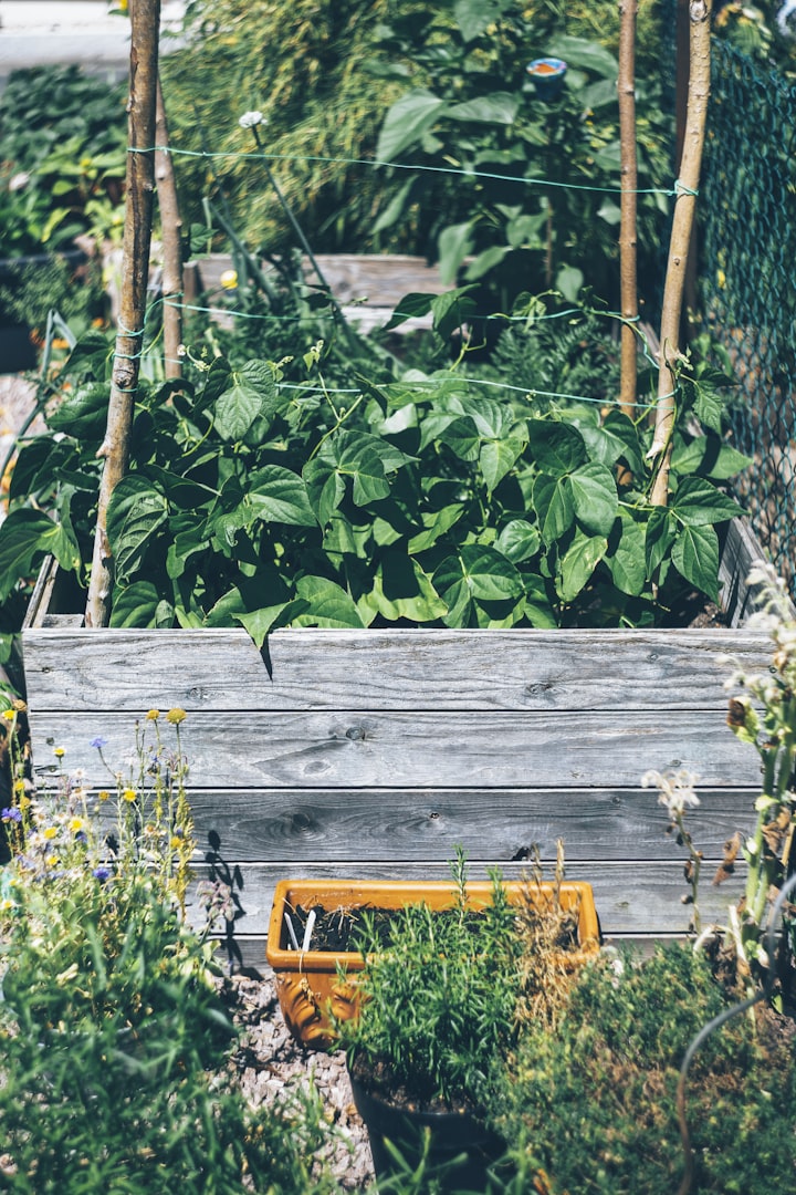 Gardening