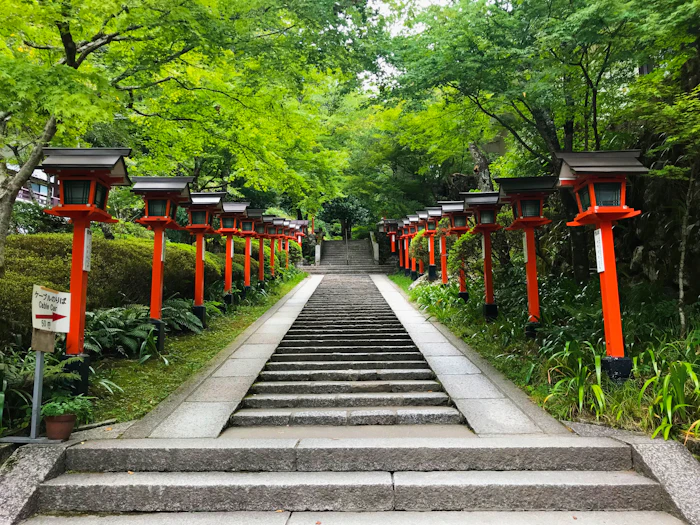 Kyoto, Nara & Tokyo photo 3