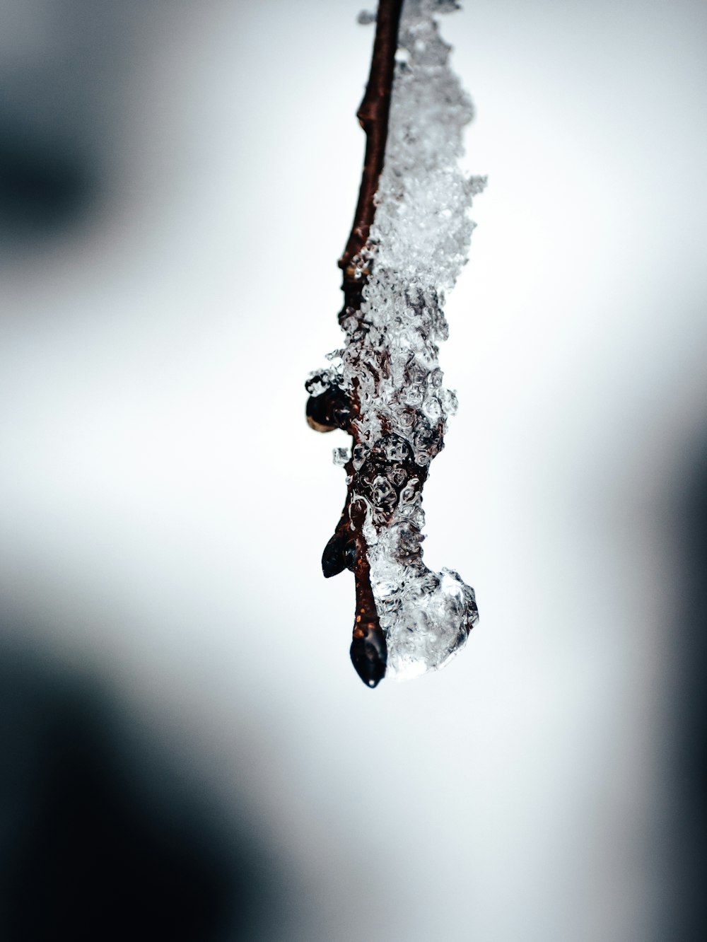 close-up photography of water dew