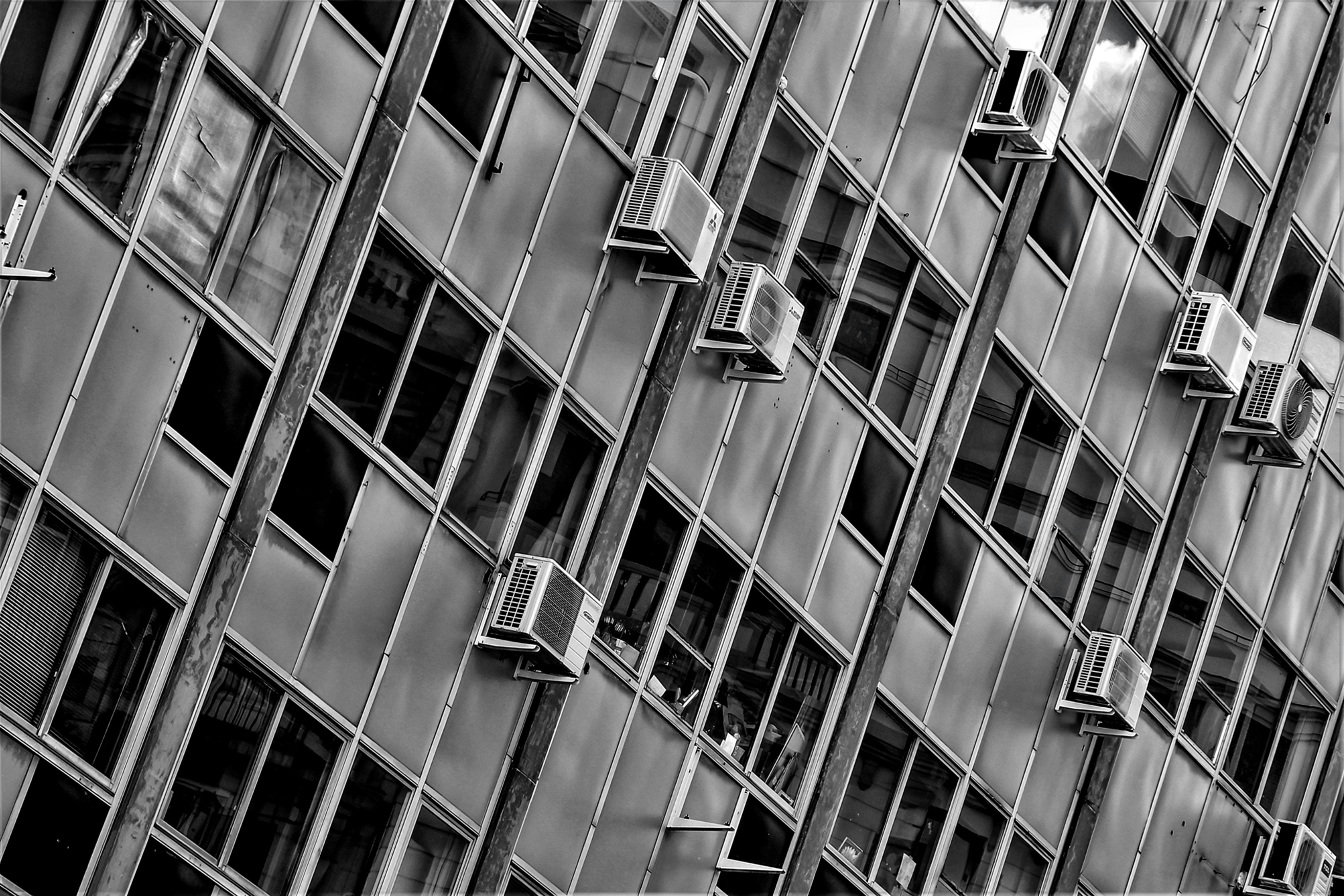 Photo by ariel_aguerophoto